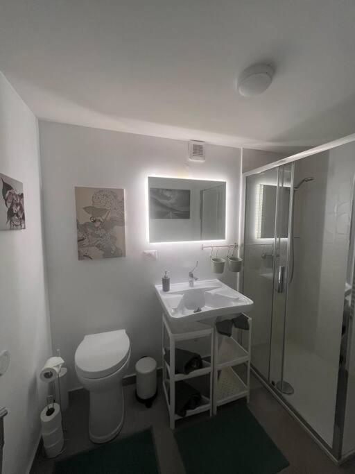 Vatican Almond Tree Penthouse Appartamento *
